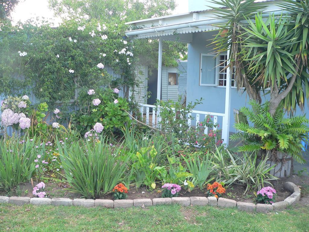 Weldon House Ξενοδοχείο Plettenberg Bay Δωμάτιο φωτογραφία